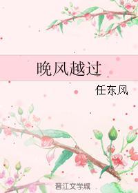 晚风越过封面
