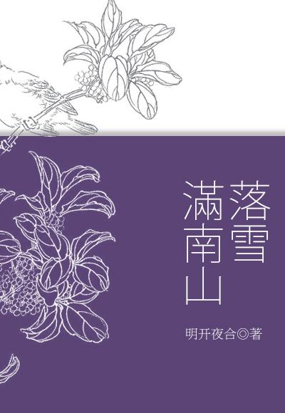 落雪满南山封面