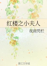红楼之小夫人封面