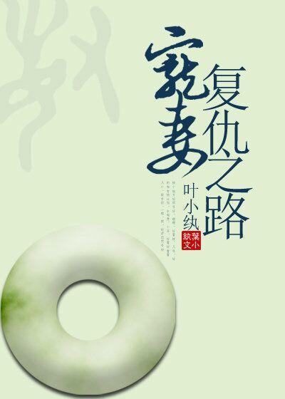 宠妻覆仇之路封面