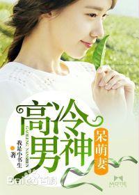 高冷男神呆萌妻封面