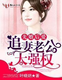 先婚后爱,追妻老公太强权封面