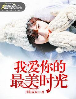 我爱你的最美时光封面