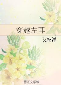 穿越左耳封面