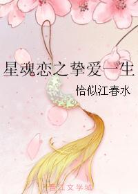 星魂恋之挚爱一生封面