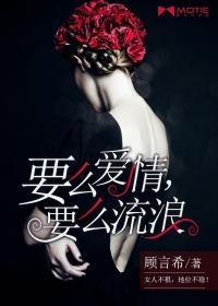 要么爱情,要么流浪封面