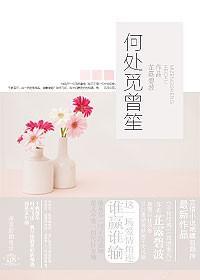 何处觅曾笙封面