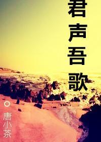 君声吾歌封面