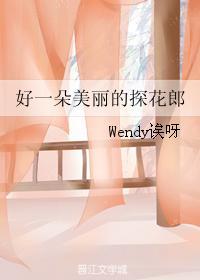 好一朵美丽的探花郎封面