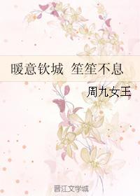 暖意钦城 笙笙不息封面