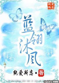 蓝翎沐风封面