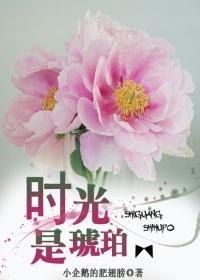 时光是琥珀封面