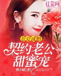 惹爱成婚：契约老公甜蜜宠封面