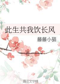 此生共我饮长风封面