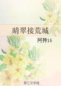 晴翠接荒城封面