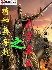特种兵穿越之大宋亲王封面