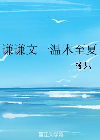 谦谦文一温木至夏封面