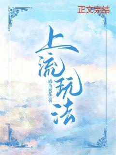 上流玩法封面