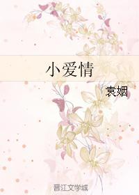 小爱情封面