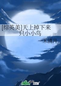 天上掉下来只小小鸟封面