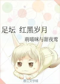 足坛 红黑岁月封面