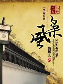 枭风封面