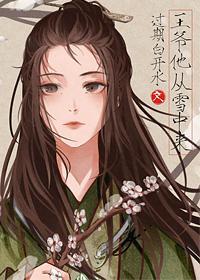 他从雪中来封面