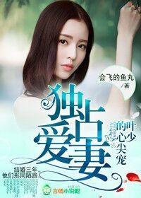 独占爱妻,叶少的心尖宠封面