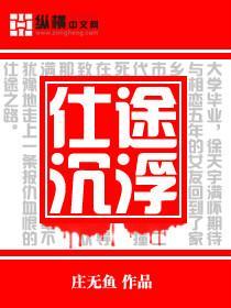 仕途沈浮封面