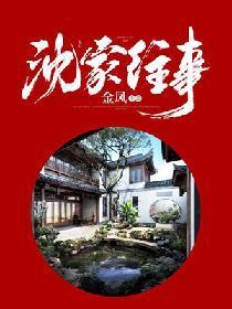 沈家往事封面