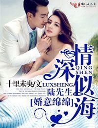 婚意绵绵,陆先生情深似海封面