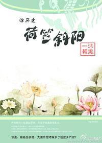 荷笠斜阳[综 剑三]封面