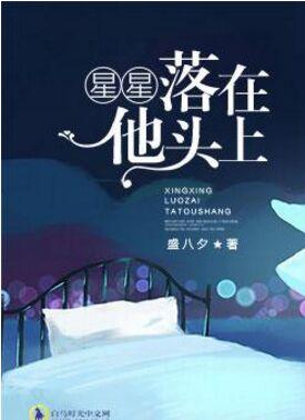 星星落在他头上封面