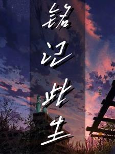 铭记此生封面