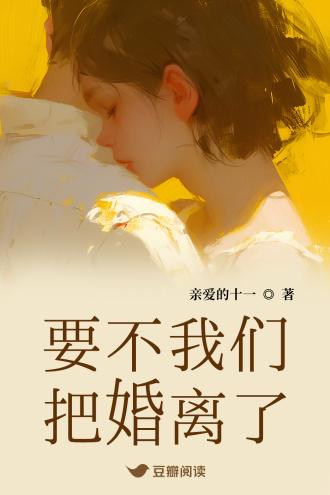要不我们把婚离了封面