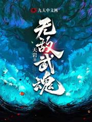 无敌武魂封面