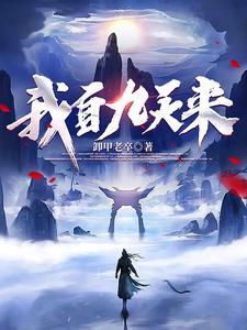 我自九天来封面