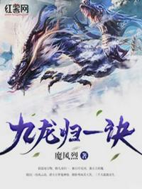 九龙归一诀封面