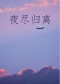 夜尽归离封面