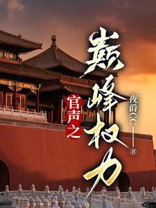 官声之巅峰权力封面