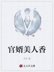 官婿美人香刘志中卢玉清赵嫣封面