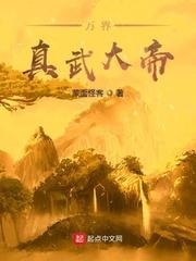 万界真武大帝封面