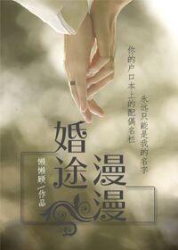 婚途漫漫封面
