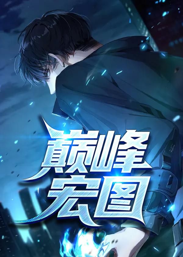 巅峰宏图封面