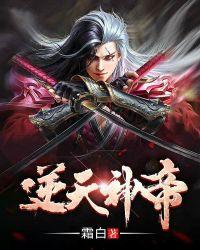 逆天神帝叶辰前传封面