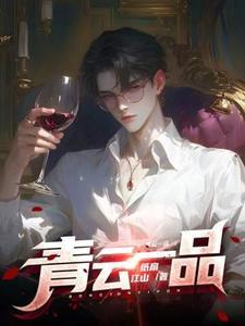 青云一品封面