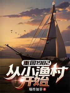 重回1982，从小渔村开始封面