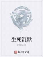 生死沉默封面