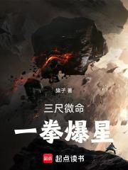 三尺微命,一拳爆星封面