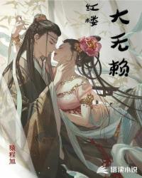 红楼大无赖封面